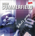 steve_summerfield_2013.jpg